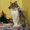Отзыв от Анна Чижова